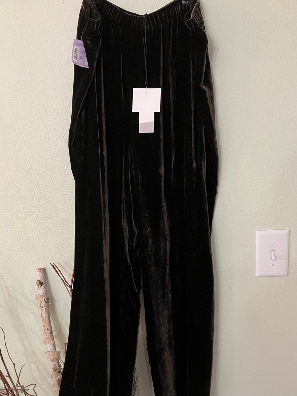 NWT Eileen Fisher brown velvet stretch pants